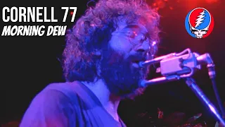 Grateful Dead Cornell 77 - Morning Dew (simulated video)
