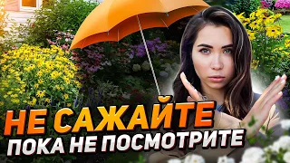 ЧТО Я НИКОГДА НЕ ПОСАЖУ В ТЕНИ (а что на солнце)