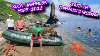 МОРЕ 2022 КОСА НАЗИМОВА ,ОХОТА НА ТРАВЯНОГО ЧИЛИМА