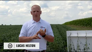 PG19: Go Beyond 100 bu. Beans