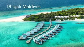 Resort in Maldives | Dhigali Maldives Luxury Resort