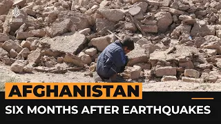 Six months on from Afghanistan’s devastating earthquakes | Al Jazeera Newsfeed