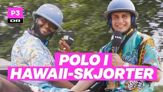 Polo på hesteryg i Nivå | på roadtrip med Hav og Kamal