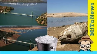 California is running out of water: What this means for you! - P.O.V. with Eddie G (Episode 12)