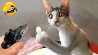 Funny animals - Funny cats / dogs - Funny animal videos | Cute Aww #87