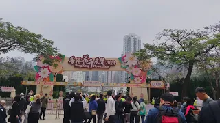 Hongkong flower show 2024 first day open