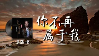 你不再属于我 - 晨熙『我以为我们相识恨晚 我以为我们彼此投缘 我以为我能把他替代 我以为彼此找到了真爱 为什么总是一次次心碎 为什么总是如此狼狈』【動態歌詞/Pinyin Lyrics】