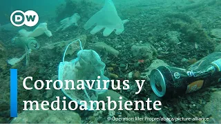 ESPECIAL CORONAVIRUS: ¿Qué relación hay entre pandemia y cambio climático?