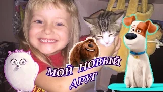 Мы нашли Котёнка / Тайная жизнь домашних животных/The Secret Life of Pets