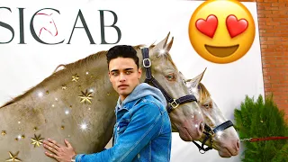 MOST EXPENSIVE SPANISH HORSES IN THE WORLD (SICAB VLOG)