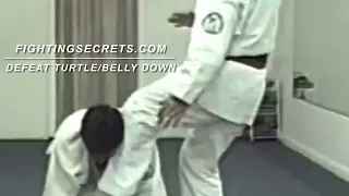 Attack opponent’s turtle position or belly down defense..