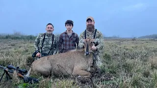 South Texas Nilgai hunting. Feb 2024 #Nilgai #hunting