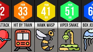 Comparison - Worst Human Pain (DOL)