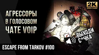 Агрессоры в голосовом чате VOIP • Escape from Tarkov №100 [2K]