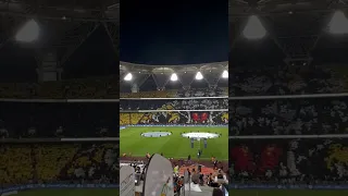 جمهور الاتحاد لا ينافس الا نفسه