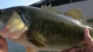 Taking a subscriber fishing at the California Delta and we smashed em!