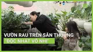 Vườn rau trên sân thượng "độc nhất vô nhị" | VTC16