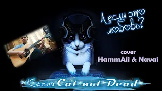 Костя Cat not Dead - А если это любовь? (cover HammAli & Navai)