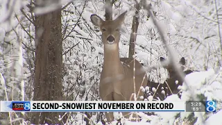 How accurate was the Storm Team 8 winter outlook?