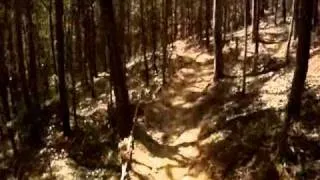 Ourimbah DH trail