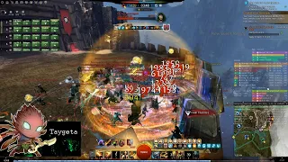 GW2 WvW - Hammer Holosmith - Zerg Nuking Damage