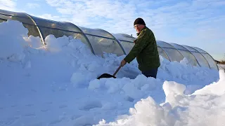 САМАЯ ПРОЧНАЯ ТЕПЛИЦА! Откопали из снега, буду сажать!