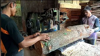 penggergajian kayu pinus,Wood cutting machine