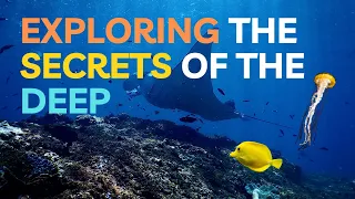 Journey into the Secret World of the Deep Ocean