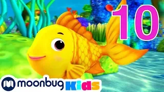 Wir zählen Fische | Kinderlieder und Cartoons | Little Baby Bum | Moonbug Kids Deutsch