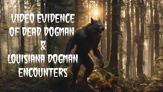 DOGMAN, VIDEO EVIDENCE OF DEAD DOGMAN & LOUISIANA DOGMAN ENCOUNTERS