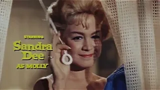 『避暑地の出来事』 予告編 A Summer Place Trailer 1959.