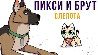 ПИКСИ И БРУТ. Слепота | Мемозг #541