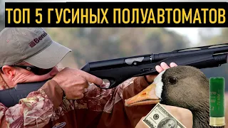 💥 ТОП 5 ГУСИНЫХ ПЯТИЗАРЯДНЫХ РУЖЕЙ