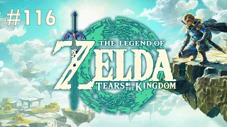 The Legend of Zelda: Tears of the Kingdom (Switch) - Let's Play #116 | No Commentary