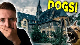 SNEAKING into an ABANDONED School (They Had DOGS!)