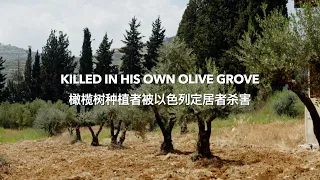 Killed in his own olive grove