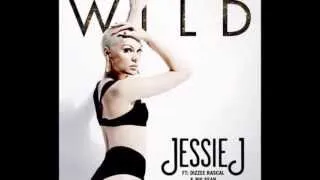 Jessie J ft  Big Sean Dizzee Rascal Wild