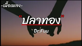 ปลาทอง | Dr.Fuu [เนื้อเพลง]