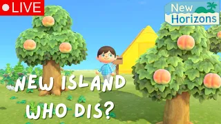 new island who dis? Animal Crossing | New Horizons