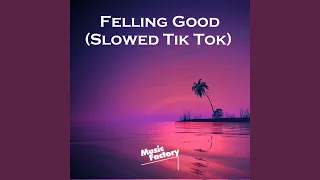 Felling Good (Slowed Tik Tok)