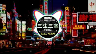 海來阿木 - 三生三幸 (DJ抖音版) 我不愛你誰愛你 該是我三生有幸 遇見了你 ||  Remix Douyin Tiktok 2023