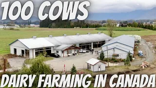 Beautiful 100 Cow Dairy Located in the Fraser Valley!