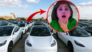 I’m Trapped Inside One of these Teslas!