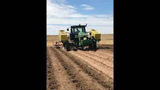 Dammer Diker. Potatoes. USA 2018. Окучування картоплі в США.