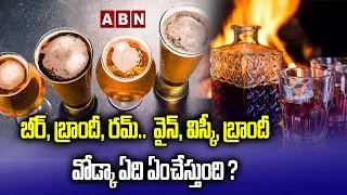 Must Watch: Do You Know the Difference Between Beer, Brandy, Vodka, Whiskey and Rum? | ABN
