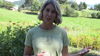 Meet Your Farmer - Never Ending Flower Farm