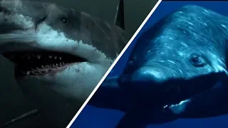 Megalodon Vs Predator X - Who Would Win? / Documentary (English/HD)