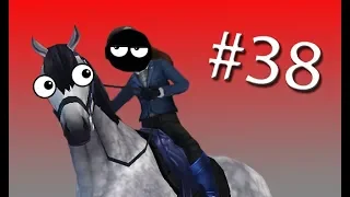 Star Stable Online ~ Training Horses Is Fun... Right? #38