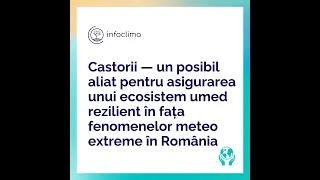 Castorii—aliat pentru asigurarea unui ecosistem rezilient în fața fenomenelor extreme în România?