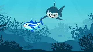 Slippery Fish | Kids Songs | Lil Animation